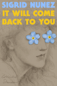 It Will Come Back to You: Collected Stories Cover