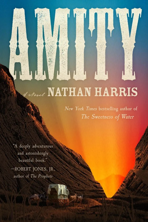 Amity bookcover